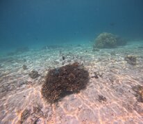 IMG-20250415-WA0005.jpg