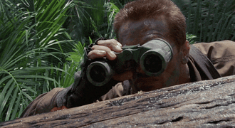 l378b59fSuMV12tzO.gif