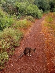 IMG_20250516_103259.jpg