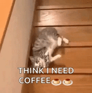 1ee229403b17cbd345d74cd8e1048f5a.gif