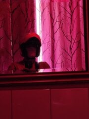 IMG_20250527_114351.jpg