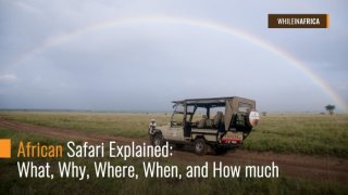 African-Safari-Explained-What-Why-Where-When-and-How-much.jpg