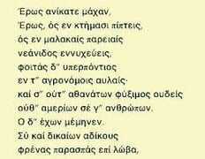 images (1).jpeg
