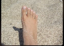 IMG_0034.jpeg