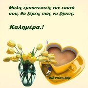 26d07832b5866739230a13c8d3635017.jpg