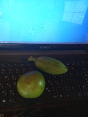 IMG_20251221_132828.jpg