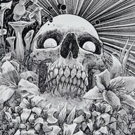 Nekro