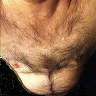 bear50tsodomalakas