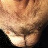 bear50tsodomalakas