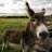 user212024